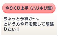 やりくり上手（ハリキリ型） ちょっと予算が…。 という方や汗を流して頑張 りたい！